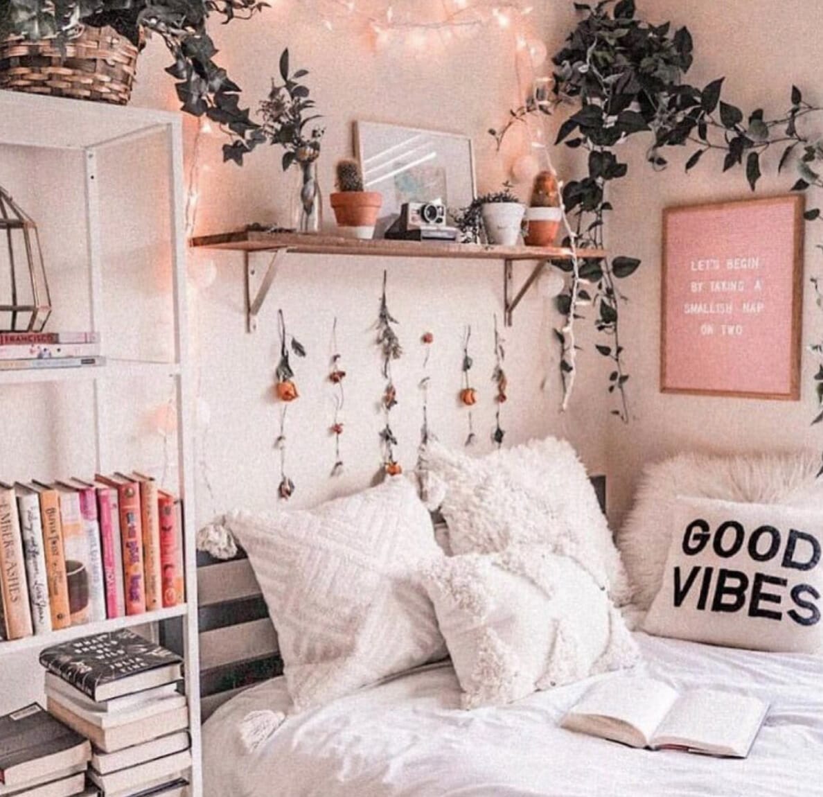plants for dorm room 2