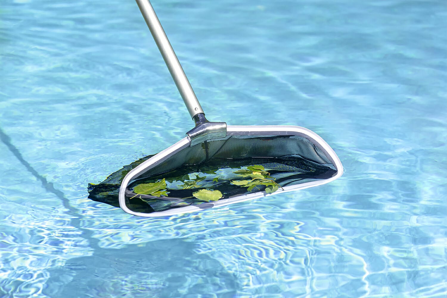 10 Best Pool Leaf Rake In 2023 The Wrench Finder
