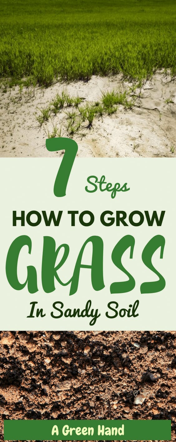 lawn fertilizer for sandy soil 2