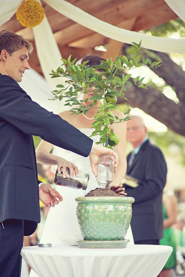 plant for unity ceremony 2