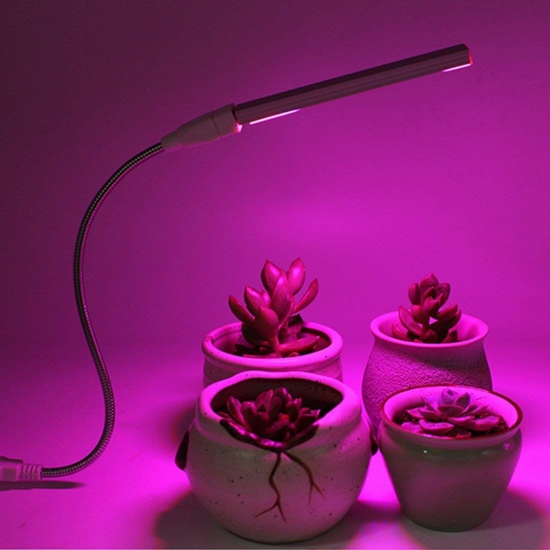 10 Best Plants For Artificial Light Office In 2023 The Wrench Finder