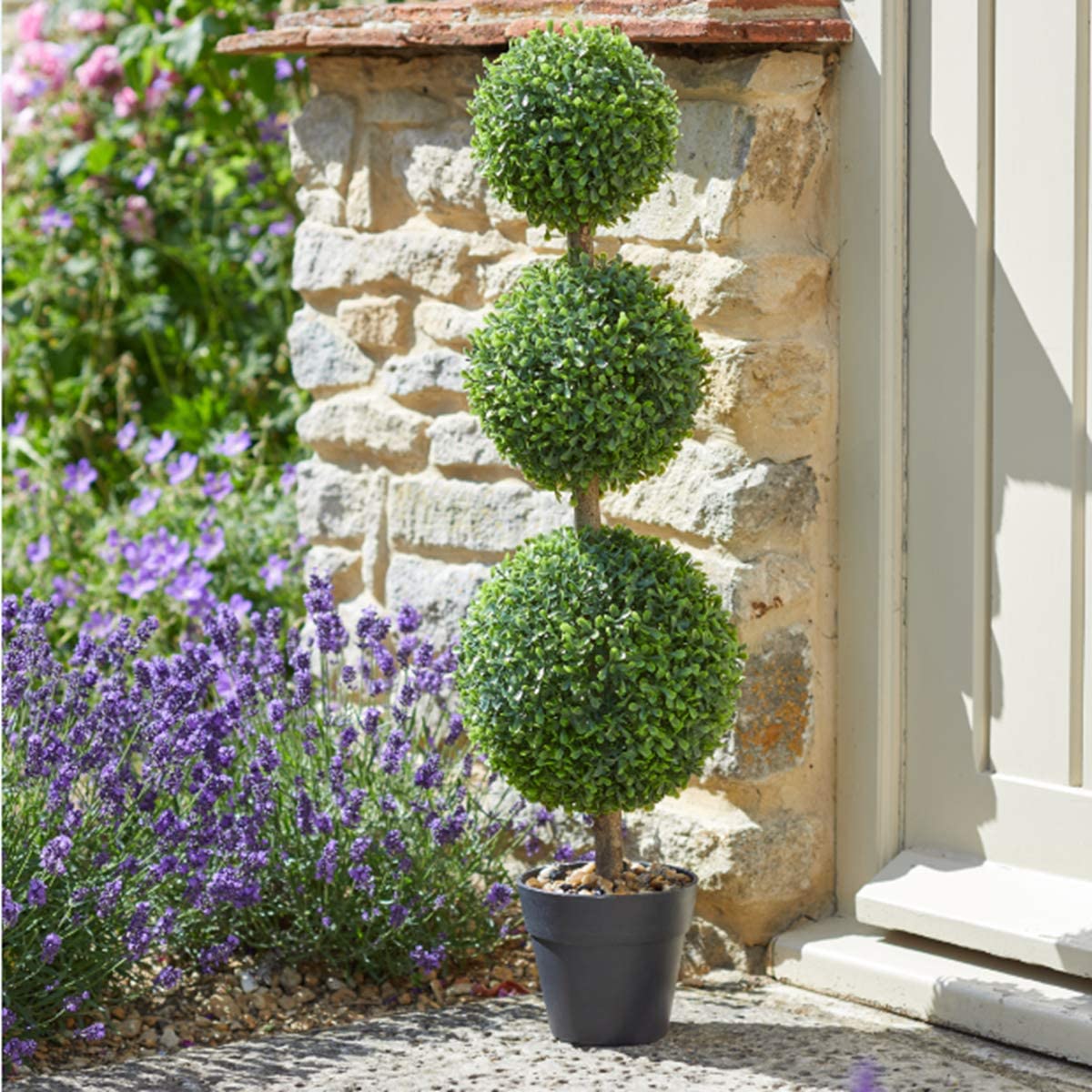 10 Best Topiary Plants For Pots In 2023 The Wrench Finder