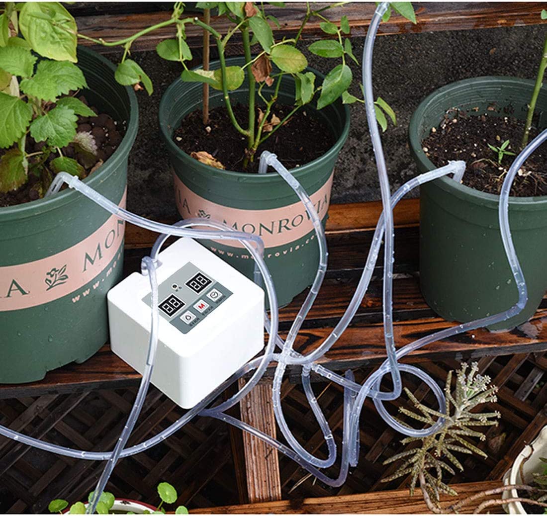 watering system for trees 1