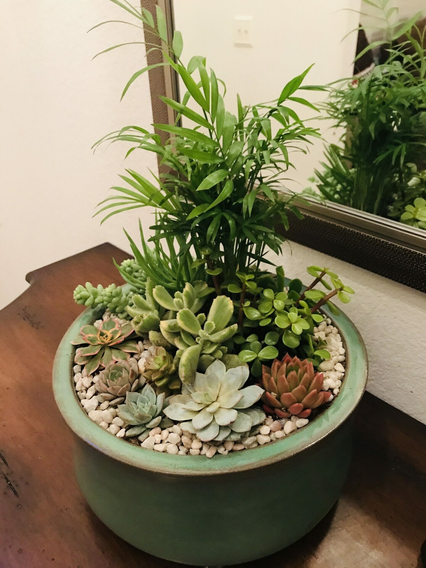 pot for succulents indoors 1