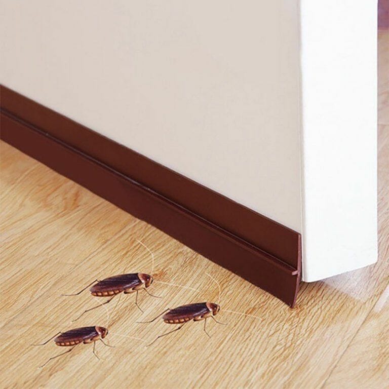 door sweep for bugs 1