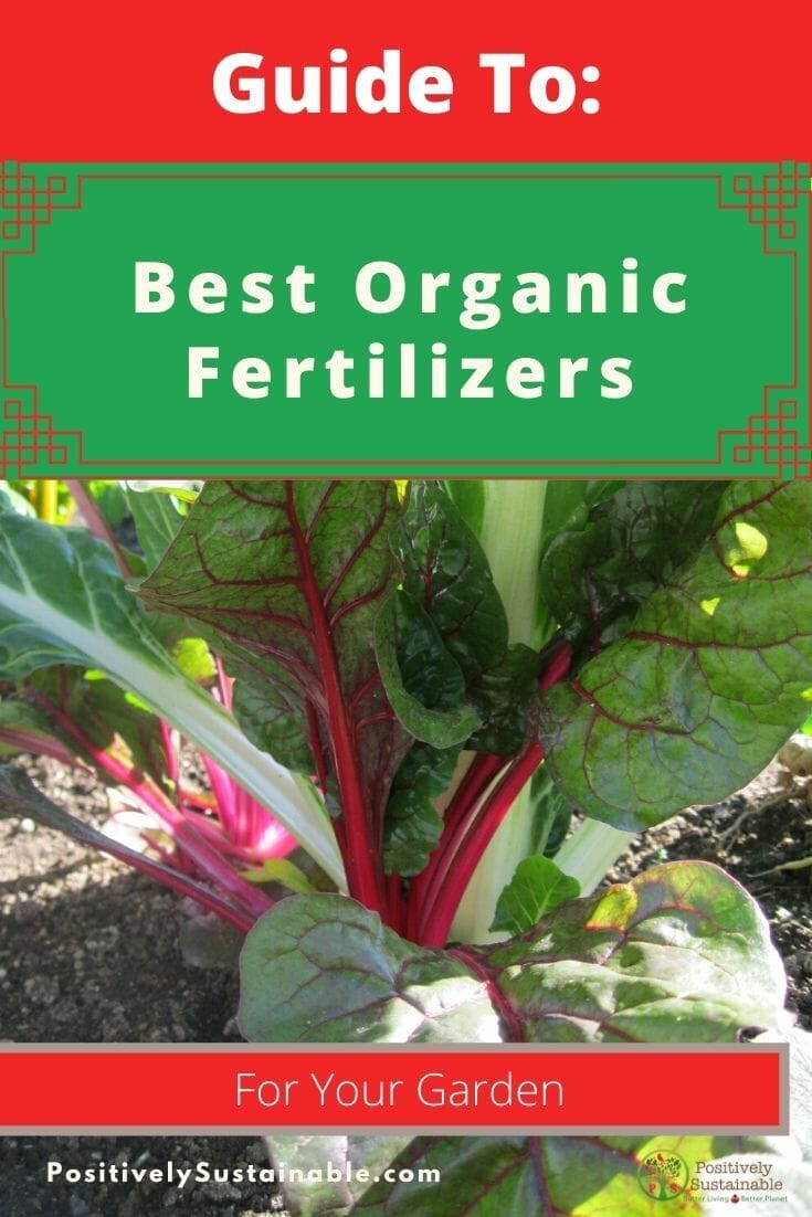 organic fertilizer for rhubarb 2