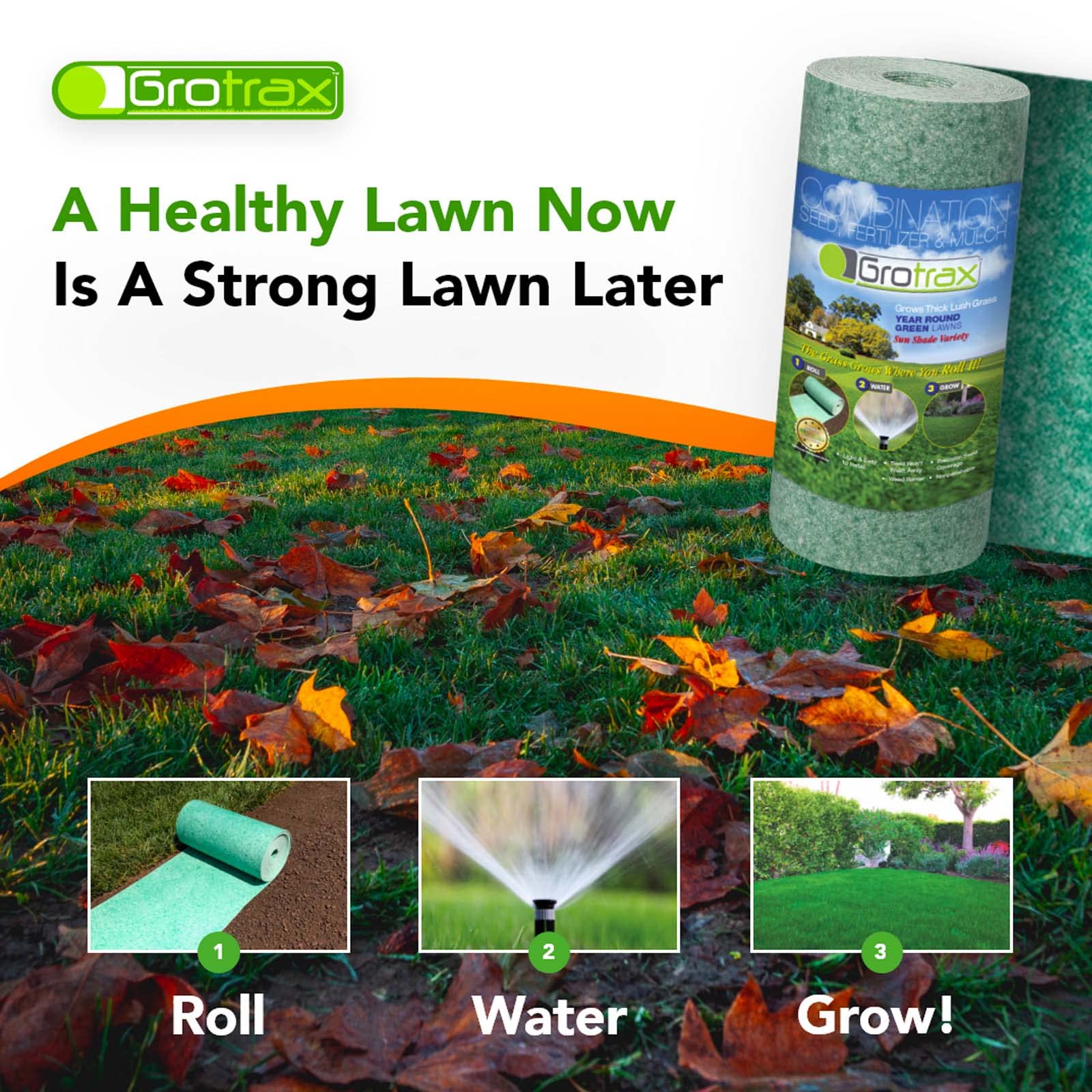 fertilizer for rye grass 2