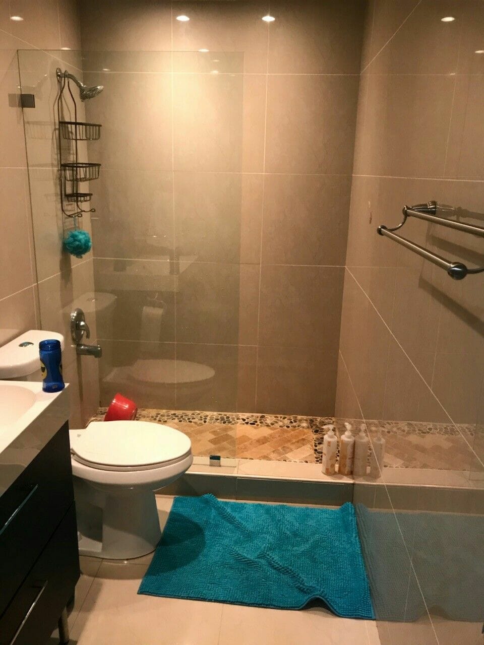 plant for bathroom with no windows 2