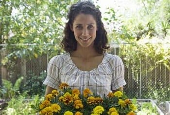 fertilizer for marigolds 2