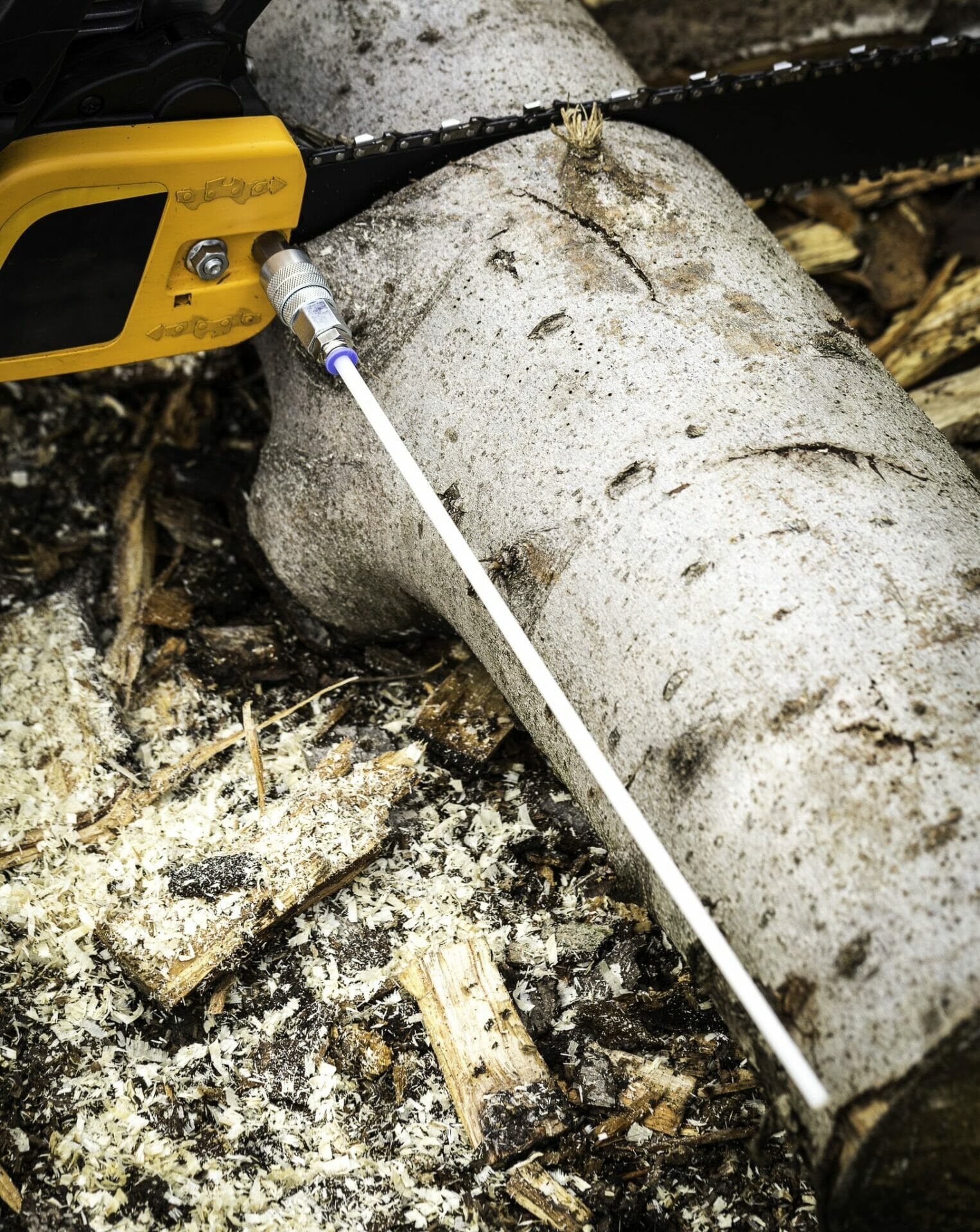 chainsaw for firewood 1