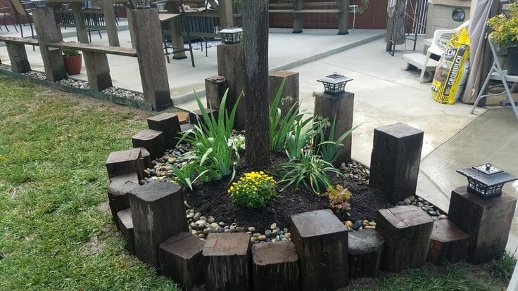 plants for river rock 1