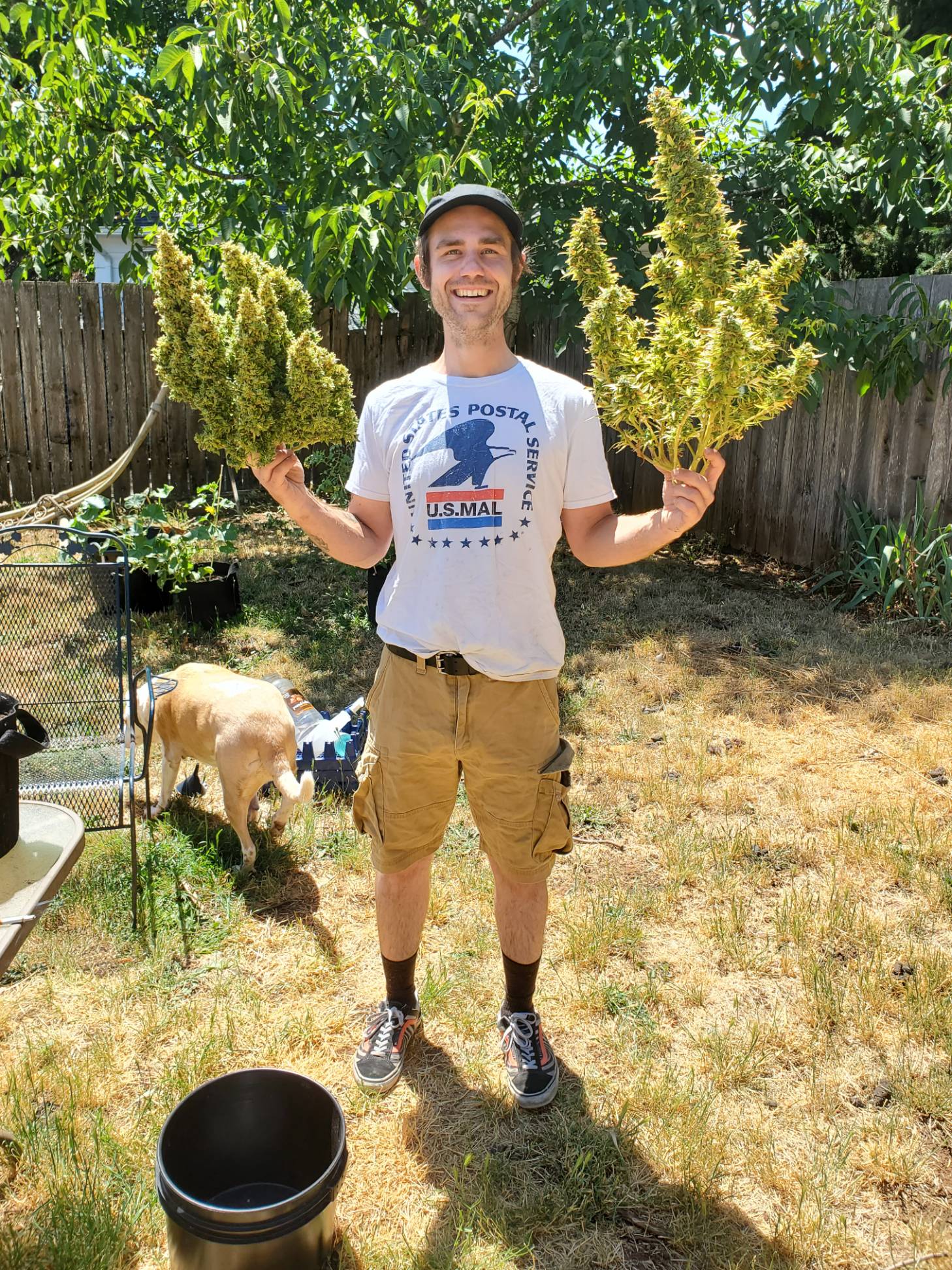 fertilizer for autoflowers 1