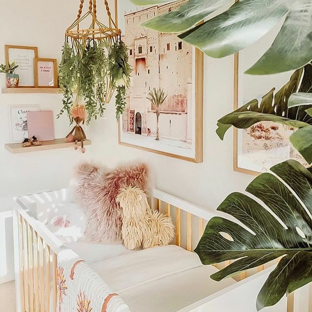 plants for baby nursery 1