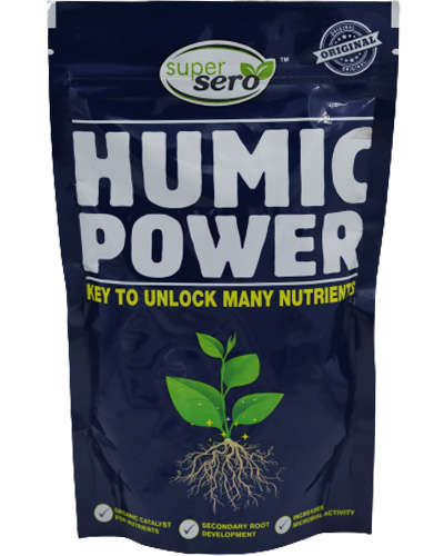 fertilizer for root growth 1