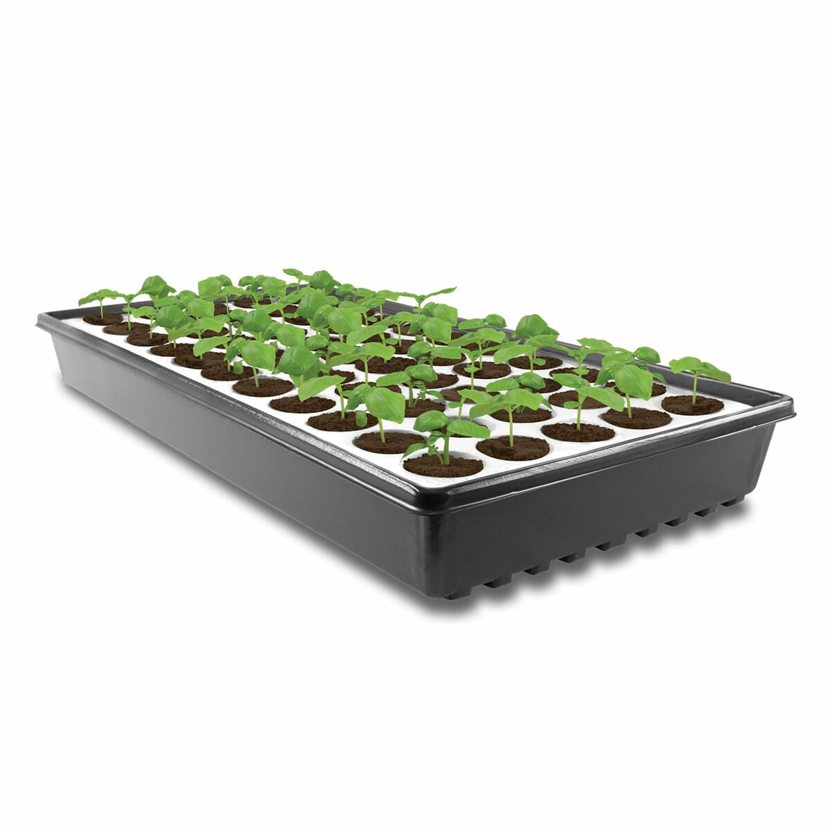 seed starter tray 2