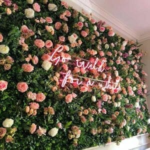 plants for green wall 1