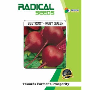 fertilizer for beetroot 2