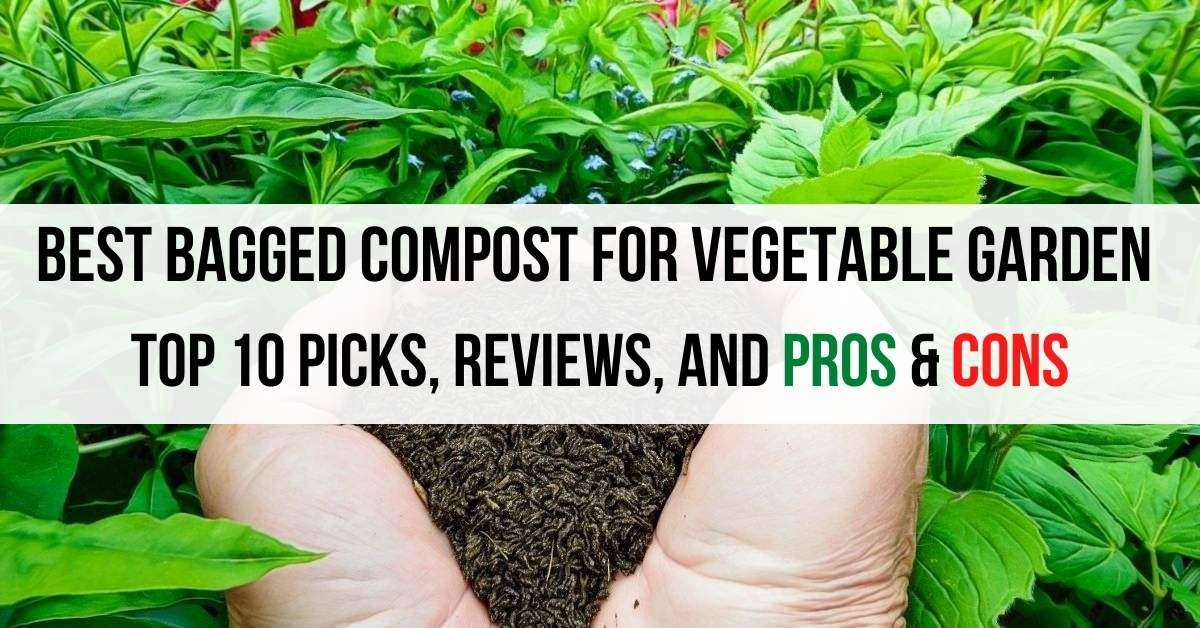 bagged compost for vegetable garden 1