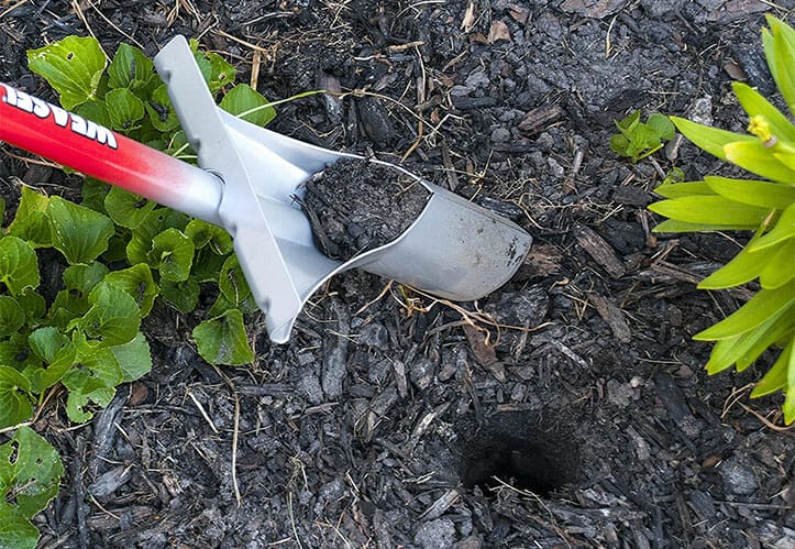 tool for planting bulbs 1