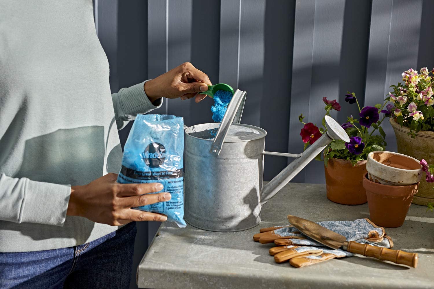 fertilizer for plumerias 2