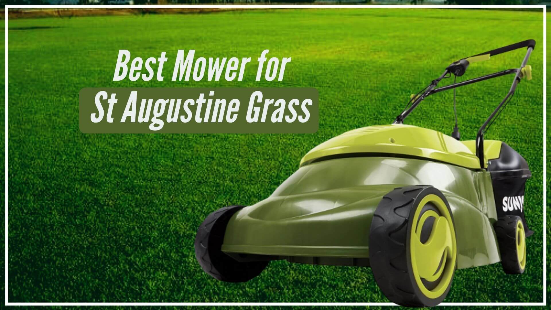 lawn mower for st augustine grass 2