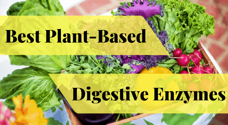 plant based digestive enzymes 2