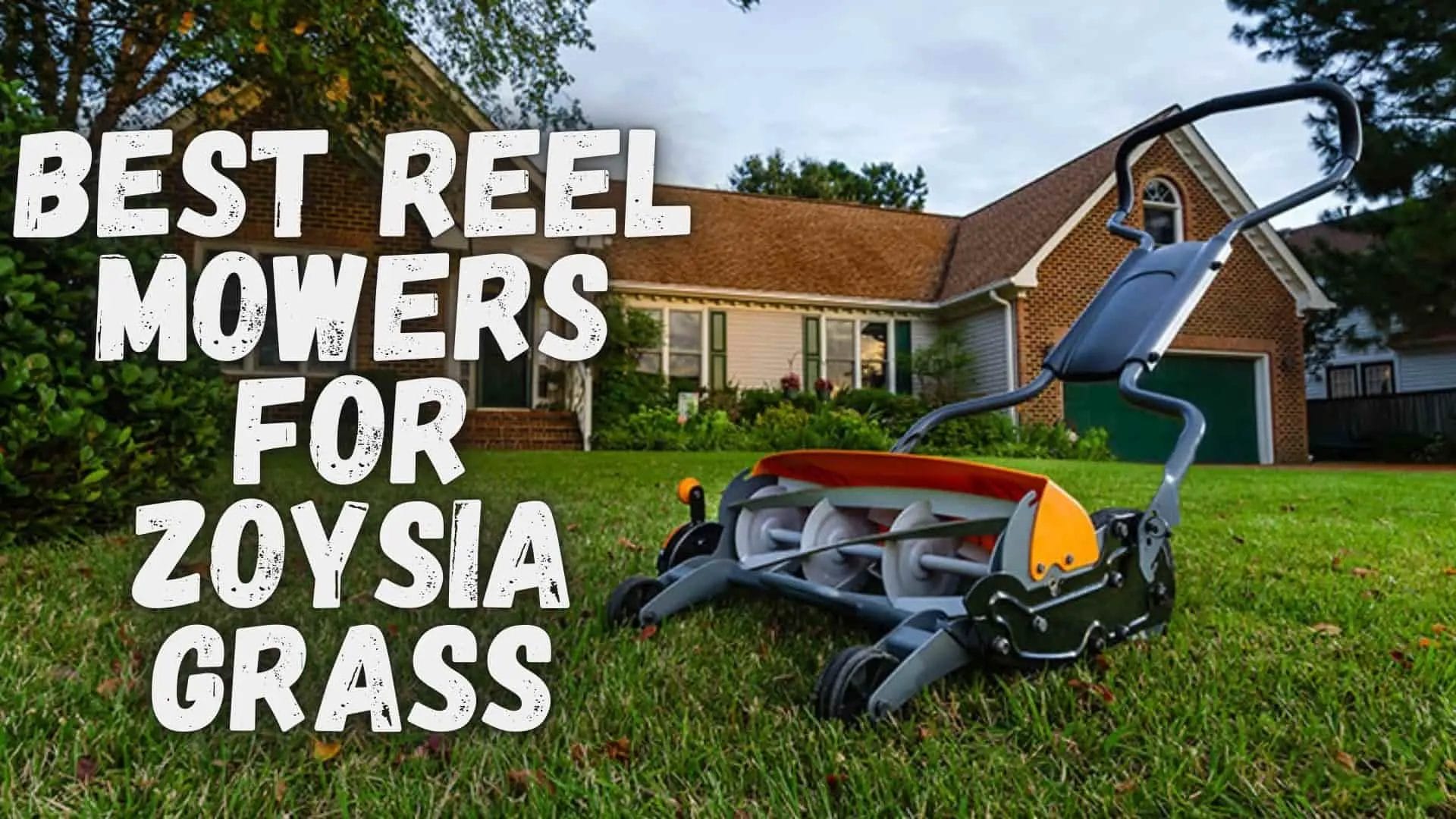 mower for zoysia grass 1