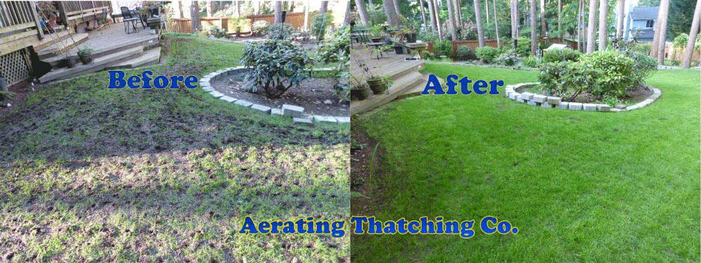 fertilizer after aeration 2