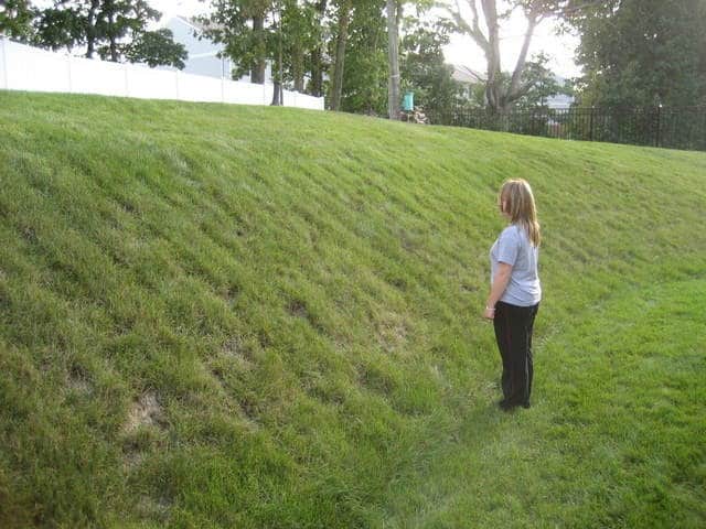 mower for 20 degree slope 1