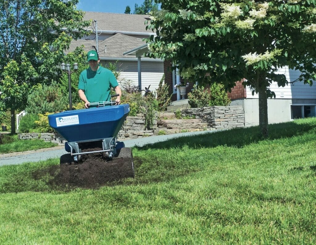 10 Best Compost For Top Dressing In 2023 The Wrench Finder