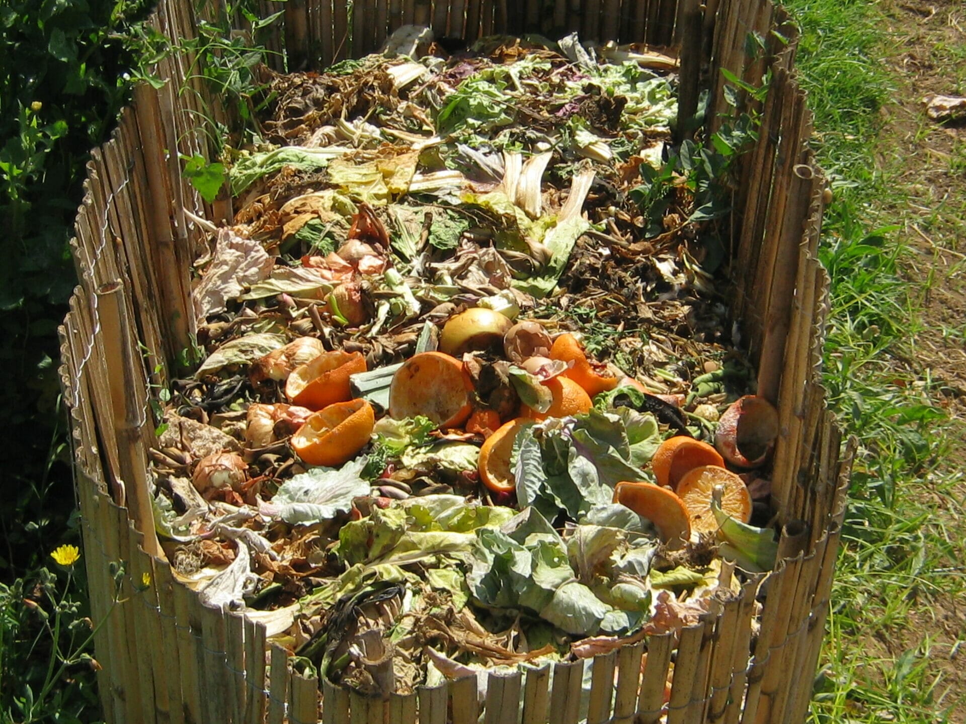 compost for garden 1