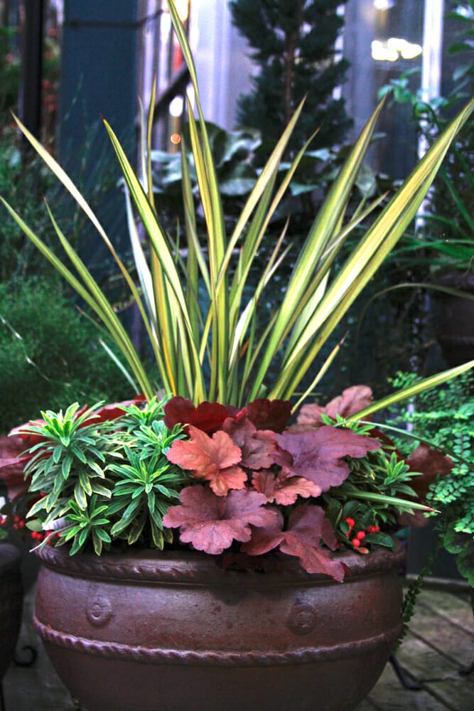 outdoor potted plants for seattle 1
