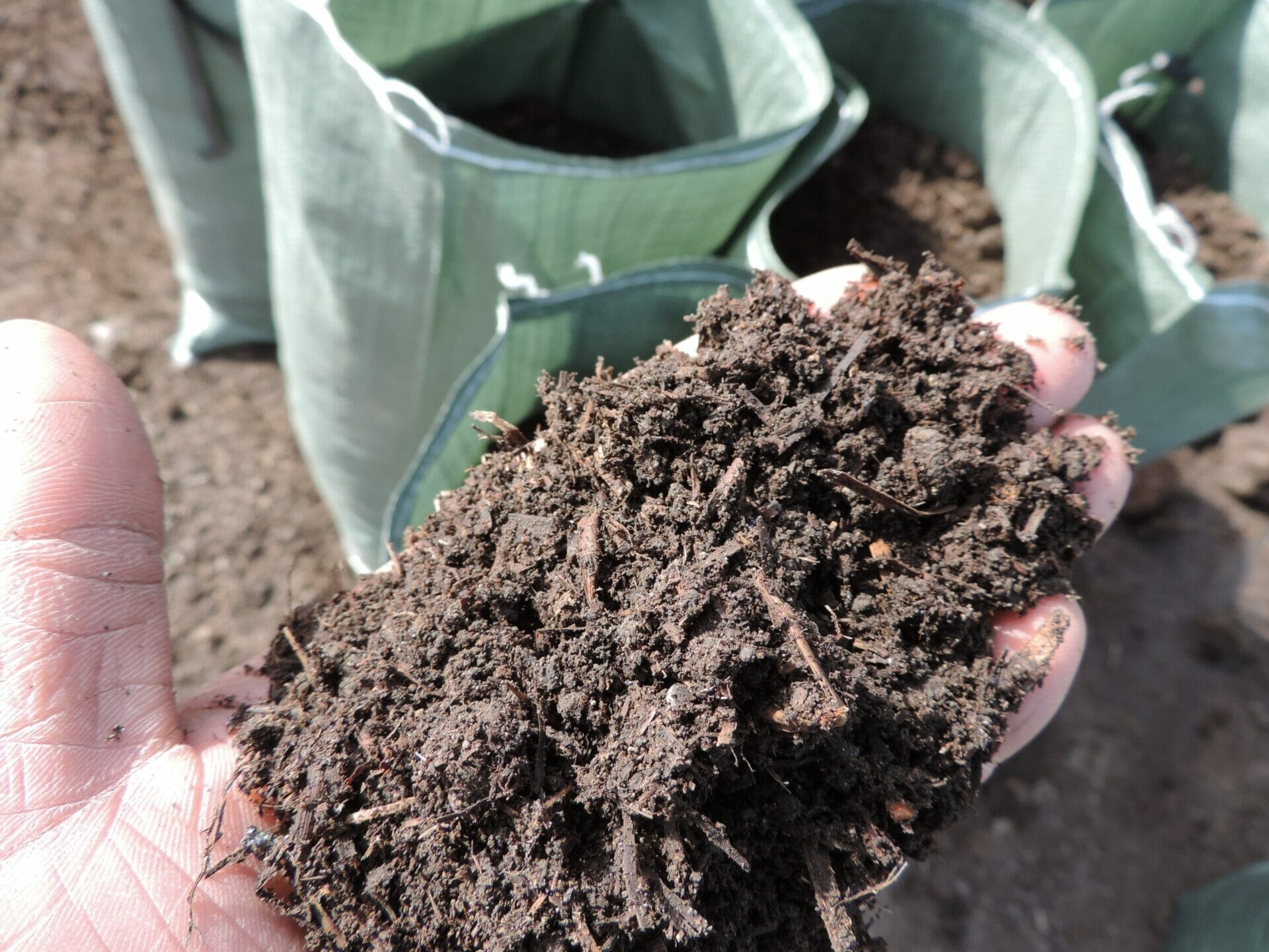 bagged compost for lawn 1