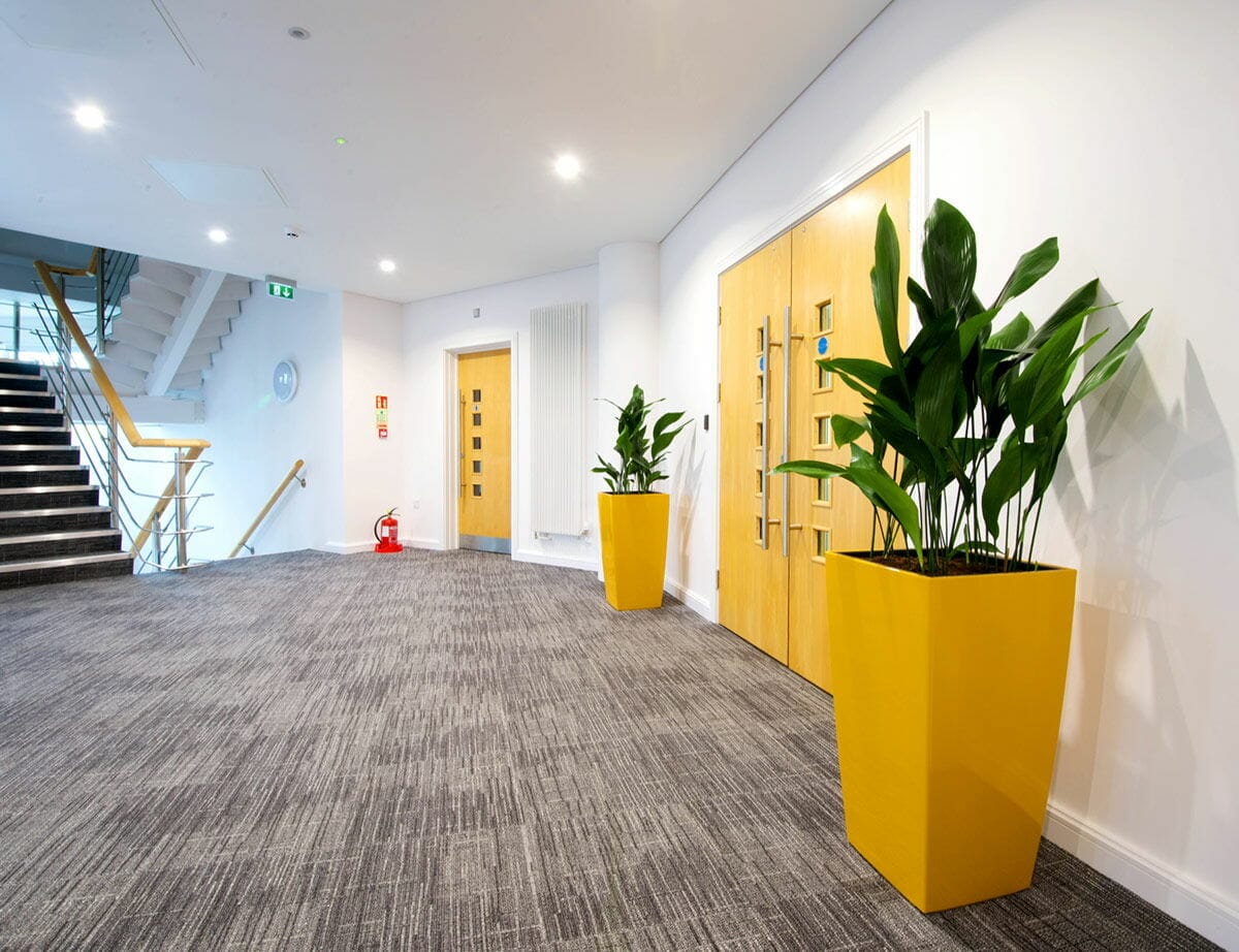 plants for artificial light office 2