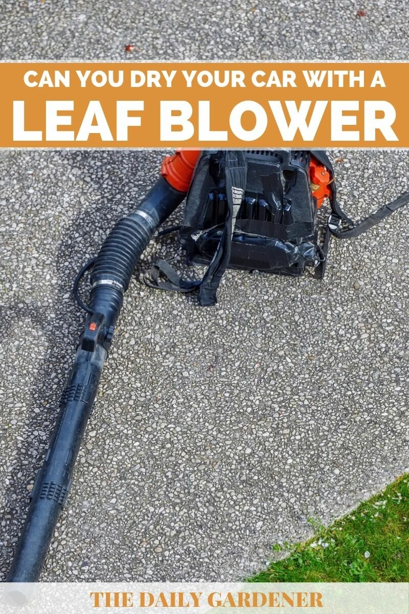10 Best Leaf Blower To Dry Car In 2023 The Wrench Finder