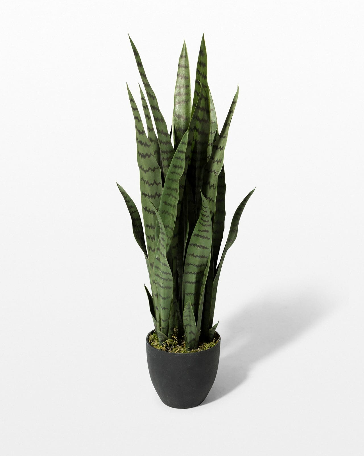 faux snake plant 1