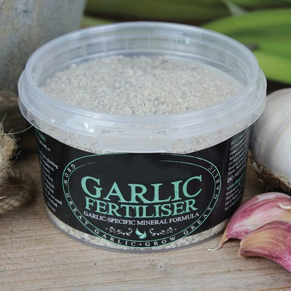 fertilizer for garlic plants 2