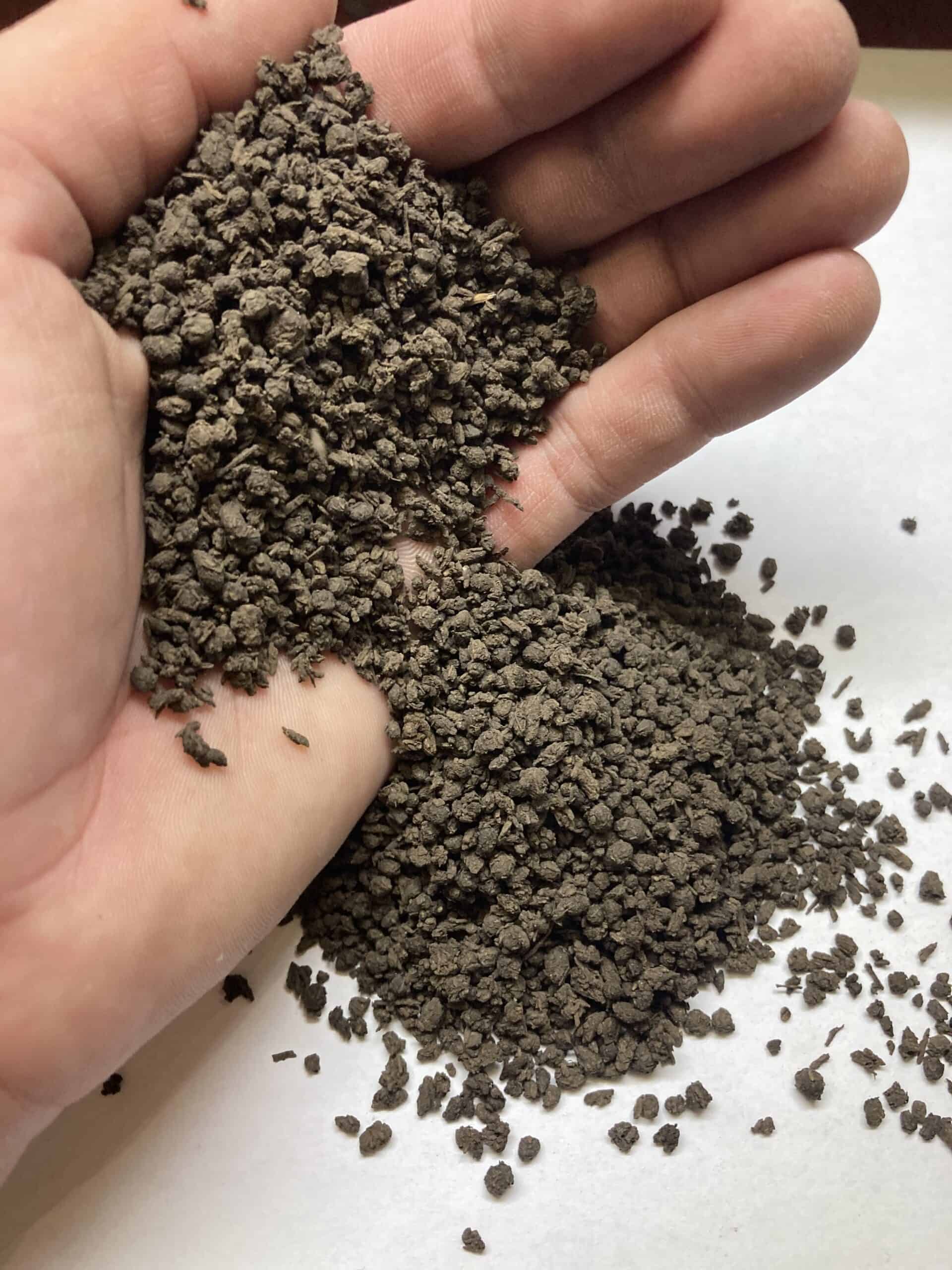 compost for top dressing 2