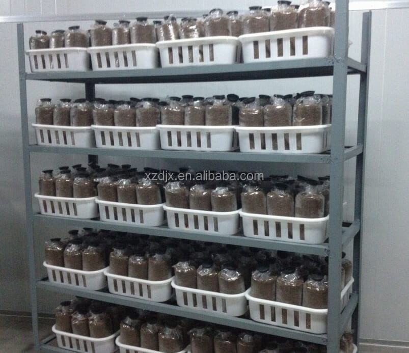 autoclave for mushroom cultivation 2
