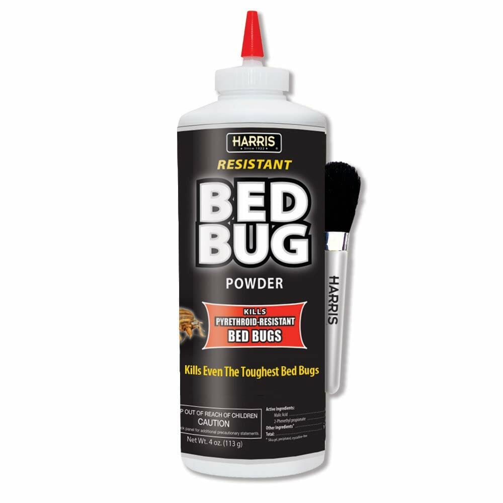 bed bug killer powder 1