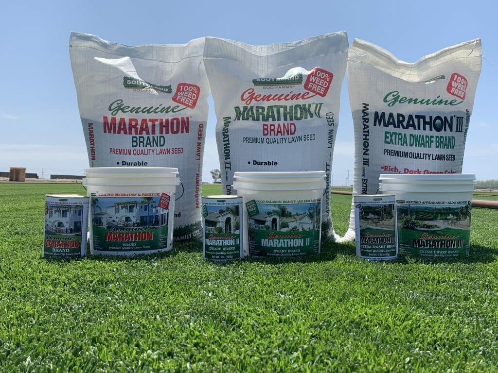 fertilizer for marathon 2 grass 2