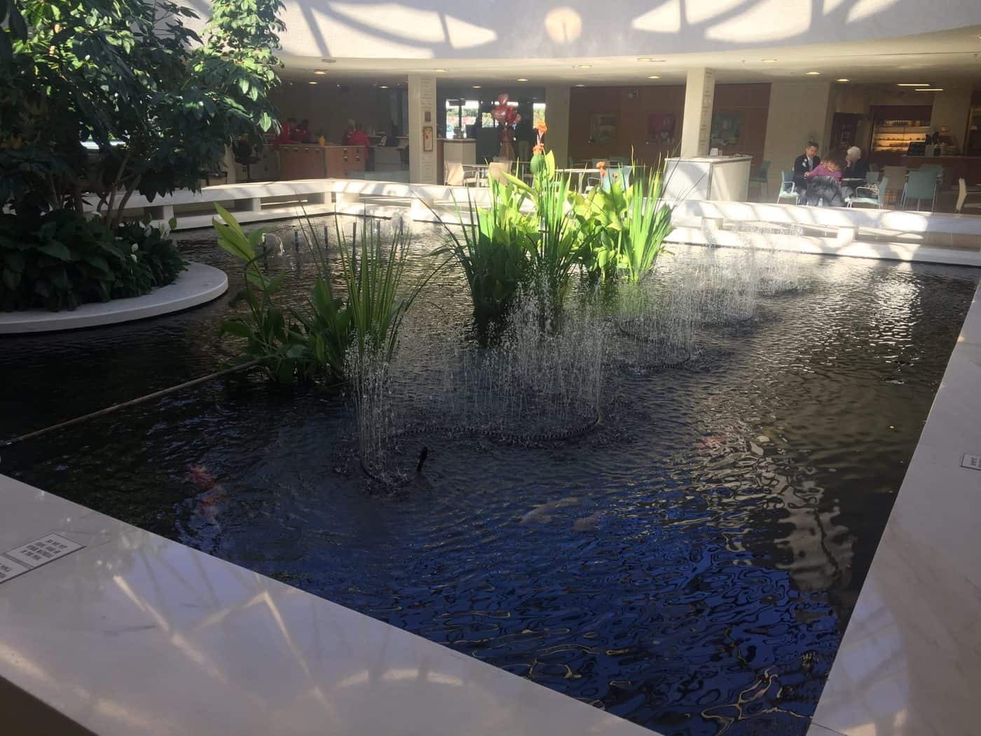 plants for koi ponds 1
