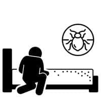 steamer to kill bed bugs 2