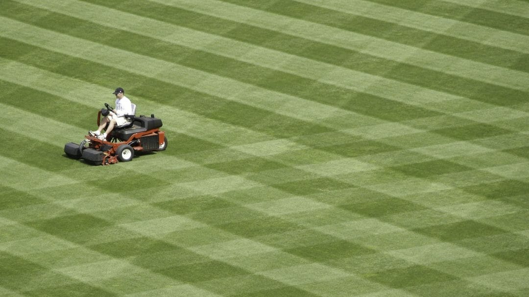 lawn mower for stripes 1