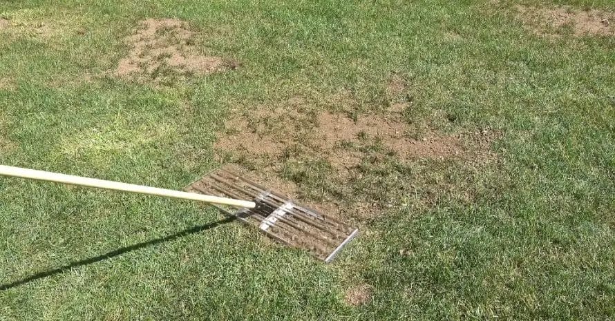 lawn leveling rake 2