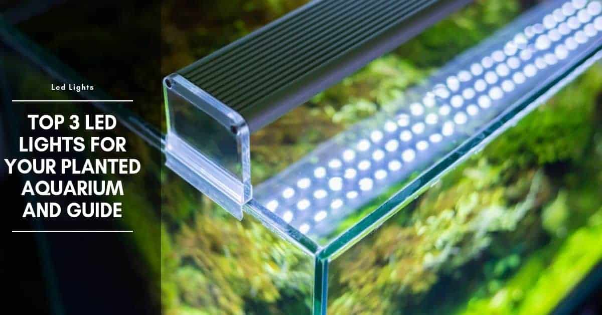 led lighting for planted aquarium 1