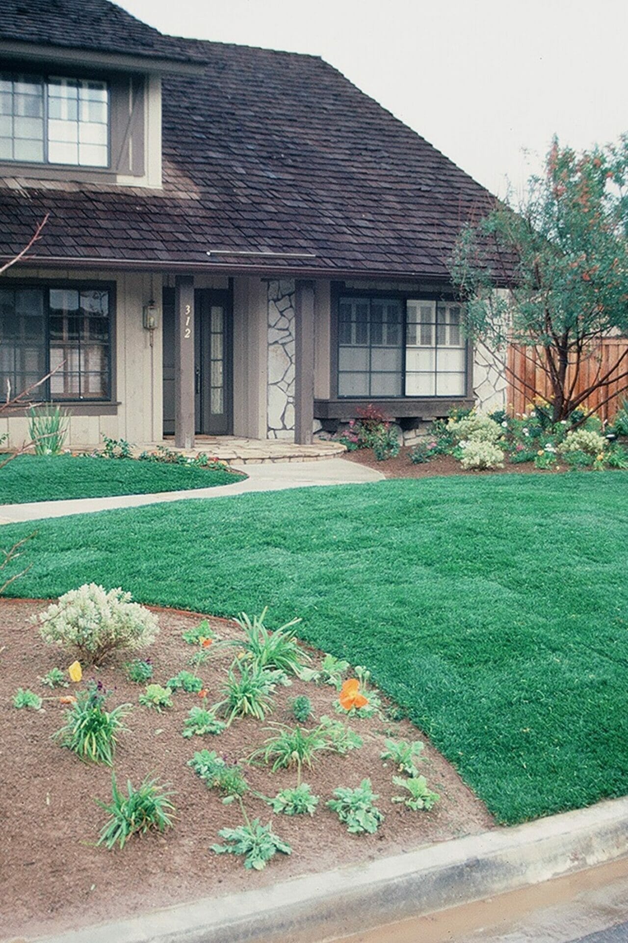 fertilizer for marathon 2 grass 1