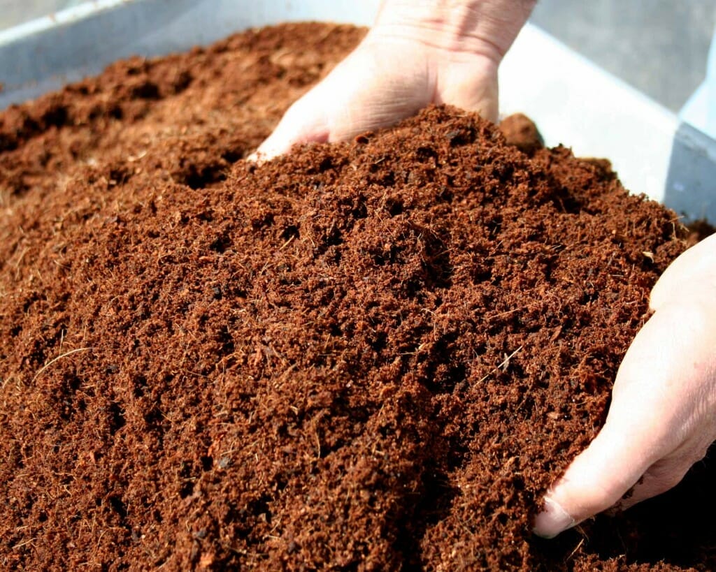 organic compost for vegetables 1