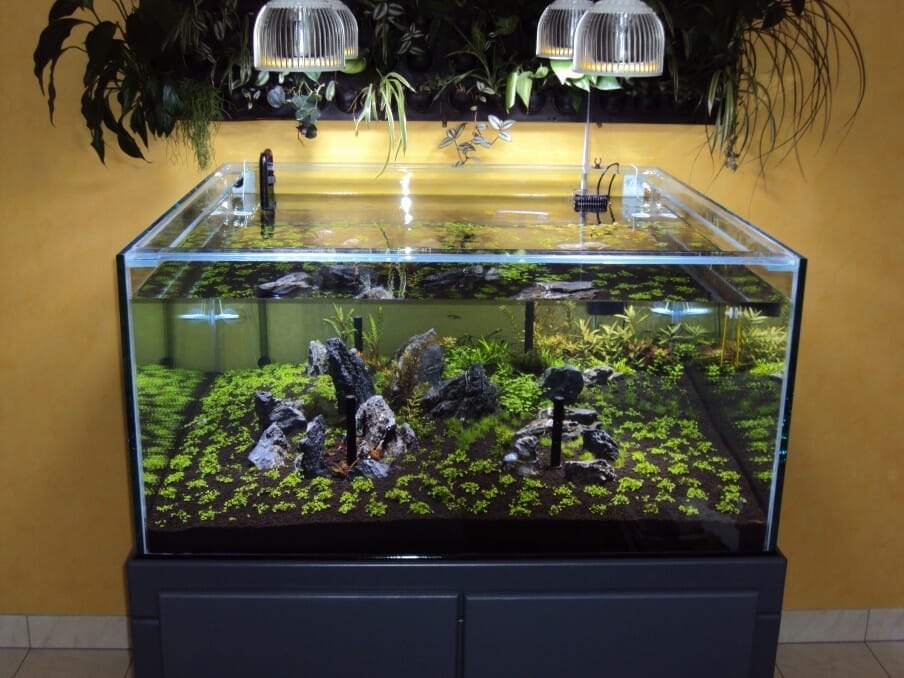 planted aquarium light 1