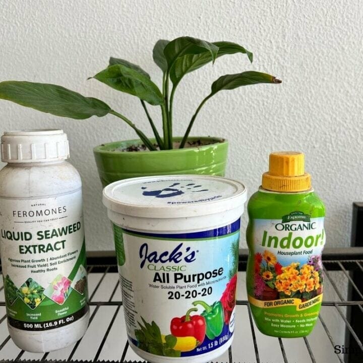 fertilizer for peace lily 1